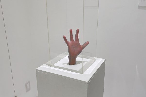 514532424_24230753189915633_6895977577002267355_n