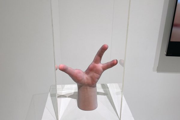 514695891_24230753533248932_9129061058997588464_n